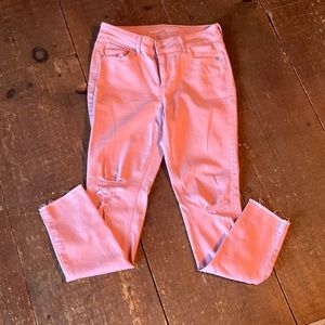 Women pant
